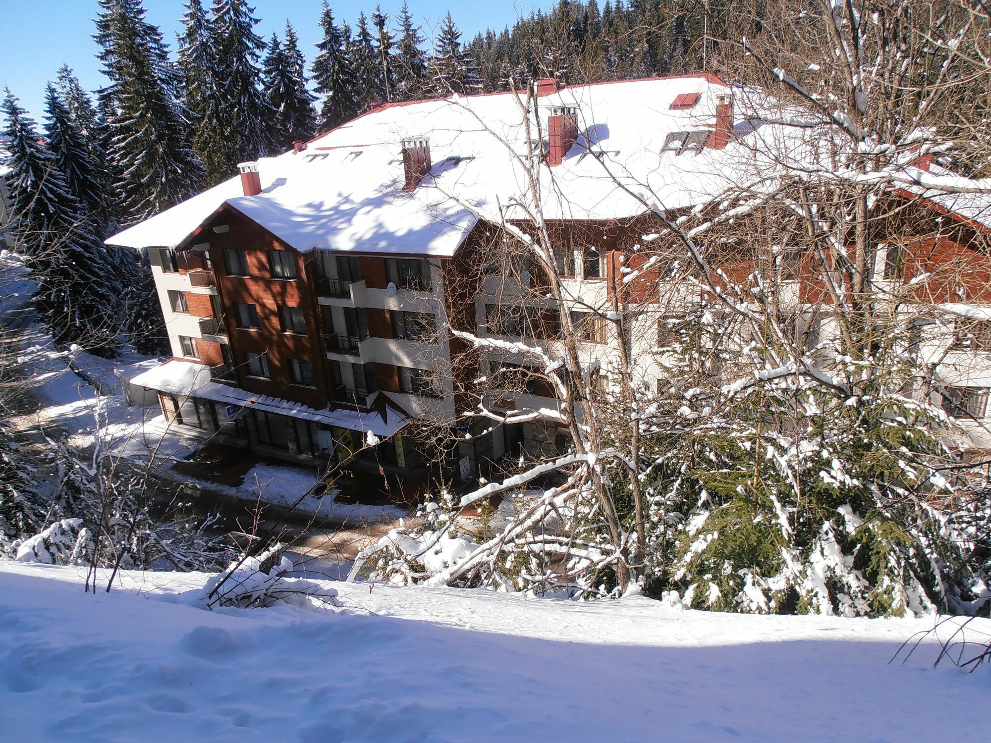 Royal House Apartments Tmf Pamporovo Exteriér fotografie