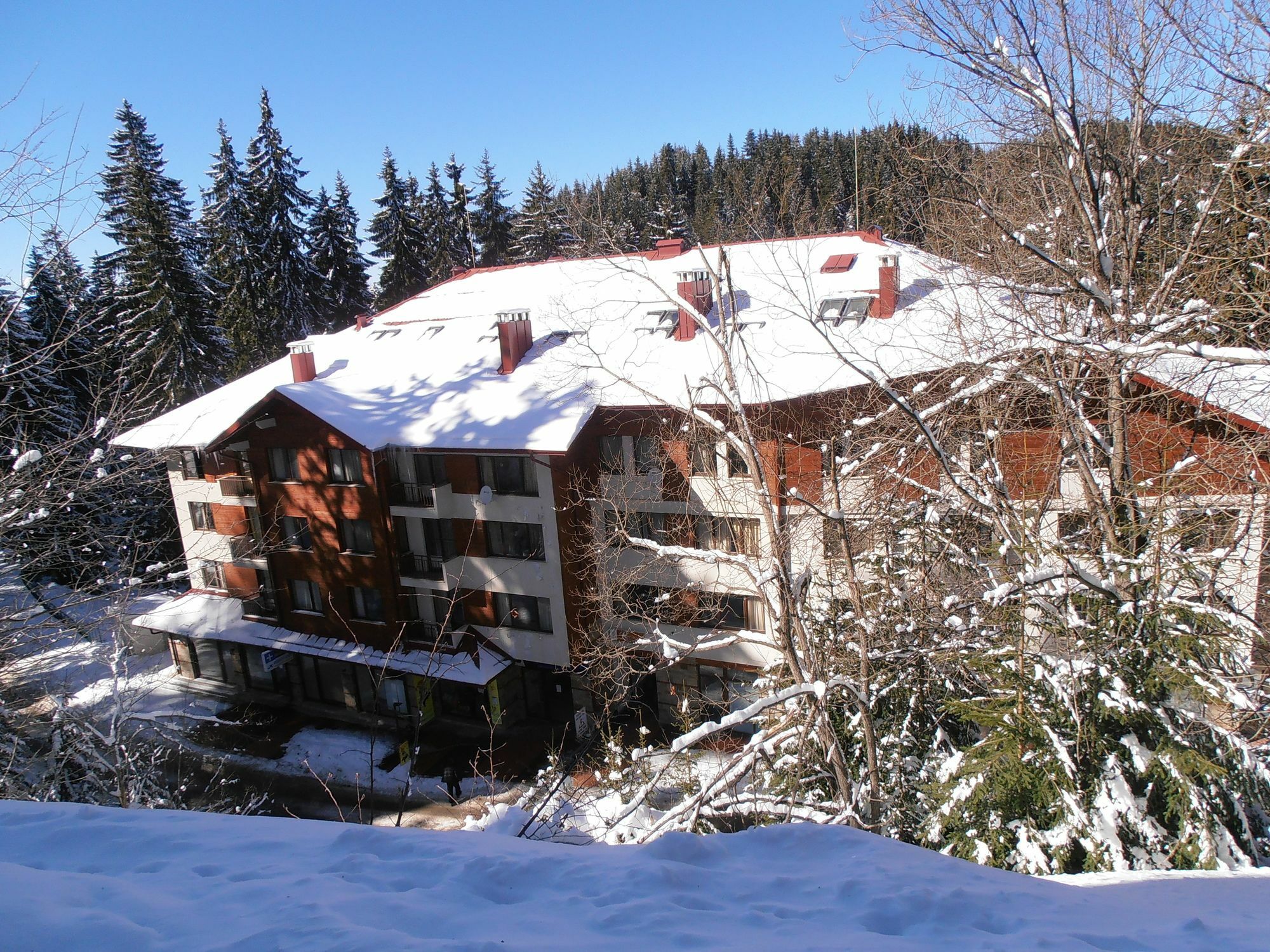 Royal House Apartments Tmf Pamporovo Exteriér fotografie
